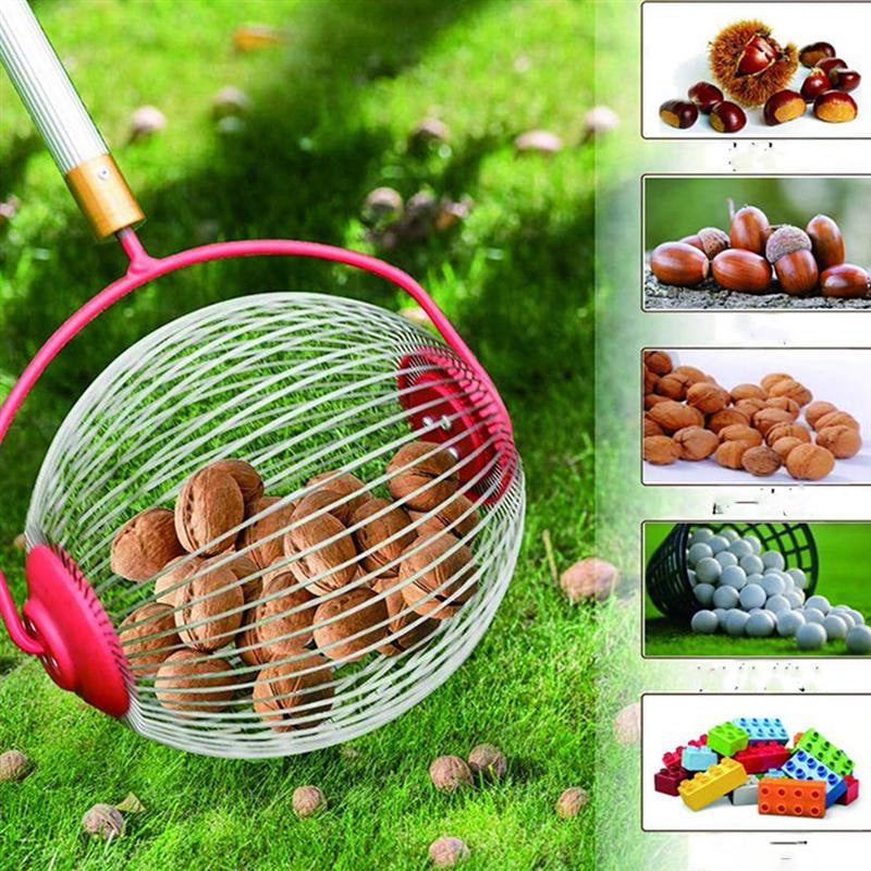 Garden Tools Picking Up Walnuts And Chestnuts