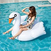 Inflatable Flamingo/Swan Pool Float Frugal Finds Galore