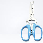 Multifunctional 10-in-1 Detachable Stainless Steel Scissors Frugal Finds Galore