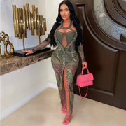 Women's Long Sleeve Dress with Mesh Floral Print Frugal Finds Galore
