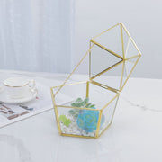 Three-dimensional Glass Dust-proof Greenhouse Frugal Finds Galore