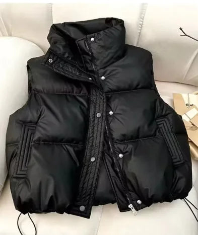 Winter Puffer Vest