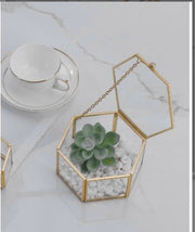 Three-dimensional Glass Dust-proof Greenhouse Frugal Finds Galore