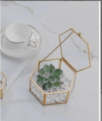 Three-dimensional Glass Dust-proof Greenhouse Frugal Finds Galore