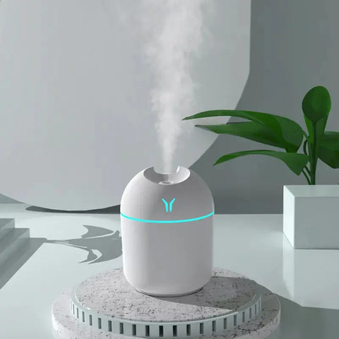 Cute Cool Mist Humidifier with LED Light for Home/Car Frugal Finds Galore
