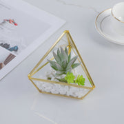 Three-dimensional Glass Dust-proof Greenhouse Frugal Finds Galore