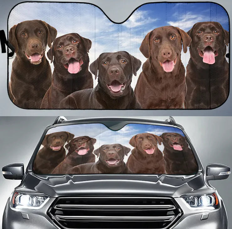 Car Sunshade Heat Insulation