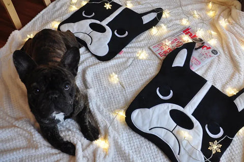Bulldog Plush Area Rug Frugal Finds Galore