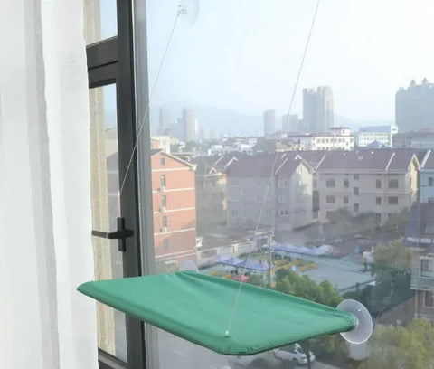 Comfortable Pet Hammock Frugal Finds Galore