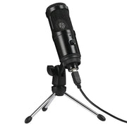 "Computer Game Streaming Condenser Microphone" Frugal Finds Galore