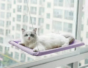 Comfortable Pet Hammock Frugal Finds Galore
