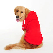 Pet Clothing Collection Frugal Finds Galore