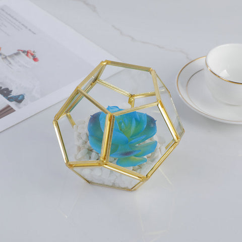 Three-dimensional Glass Dust-proof Greenhouse Frugal Finds Galore