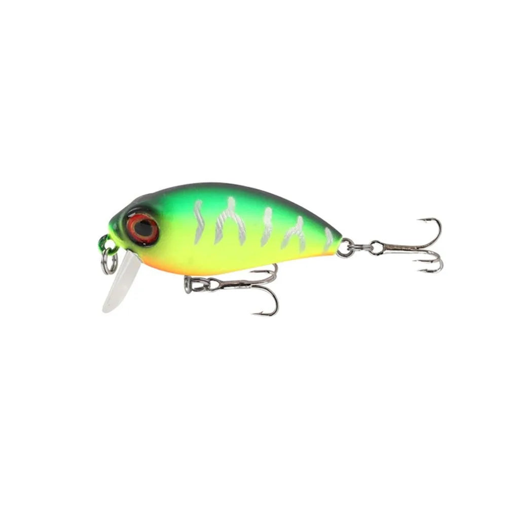 Fishing Lure