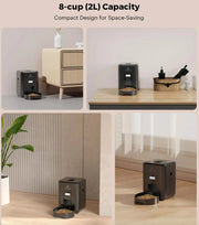 Smart Automatic Pet Feeder Frugal Finds Galore