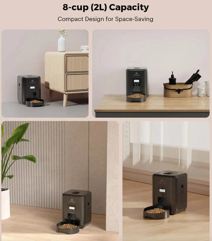 Smart Automatic Pet Feeder Frugal Finds Galore