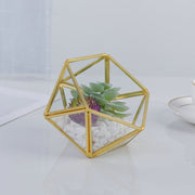 Three-dimensional Glass Dust-proof Greenhouse Frugal Finds Galore