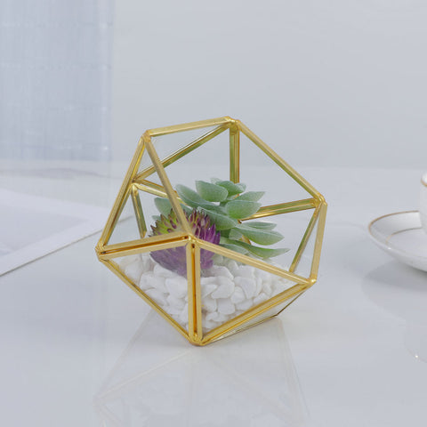 Three-dimensional Glass Dust-proof Greenhouse Frugal Finds Galore