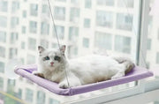 Pet Window Hammock Frugal Finds Galore