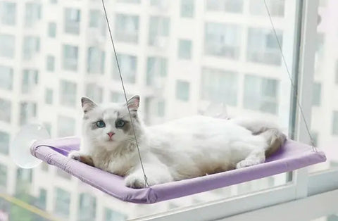 Pet Window Hammock Frugal Finds Galore