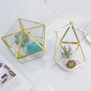 Three-dimensional Glass Dust-proof Greenhouse Frugal Finds Galore