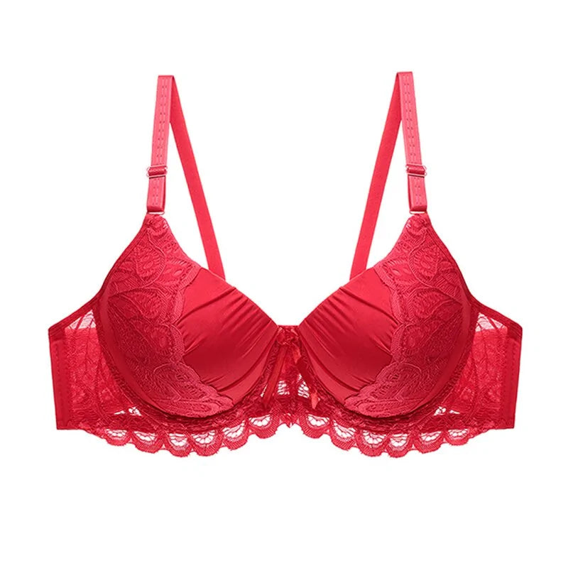 Sexy Lace Push-Up Plus Size Bra