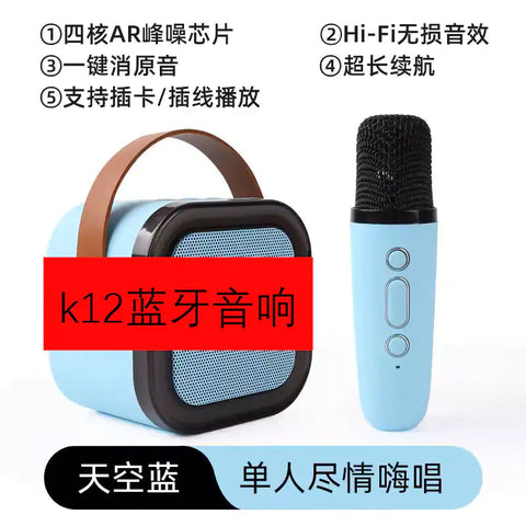 Bluetooth Portable Wireless Karaoke Speaker System Frugal Finds Galore