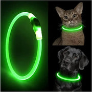 Safety Flashing Glow Dog Collar Frugal Finds Galore