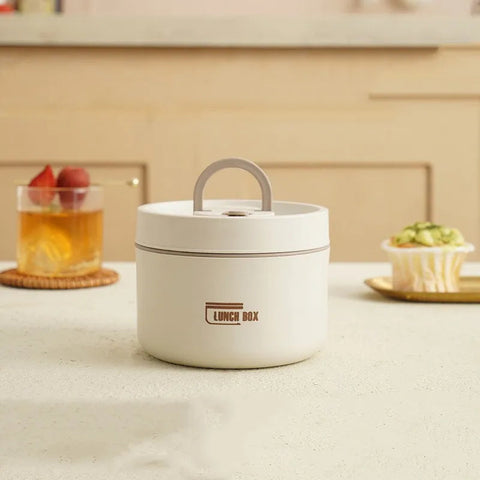 Portable Insulated Lunch Box With Cover Frugal Finds Galore