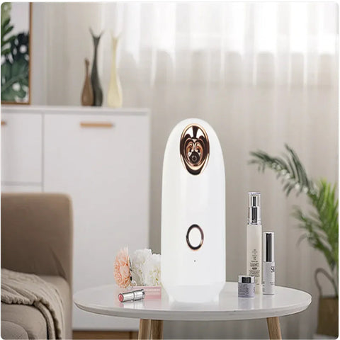 Glow Mist Beauty Steamer Frugal Finds Galore