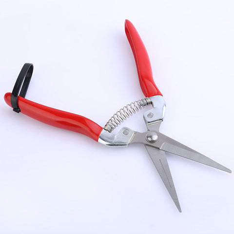 Stainless steel pruning shears Frugal Finds Galore