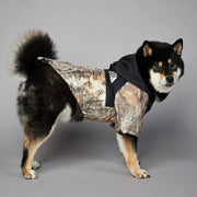 The Modern Paws Dog Coat Frugal Finds Galore