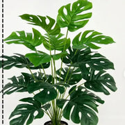 Back Of Turtle Artificial Plant Frugal Finds Galore