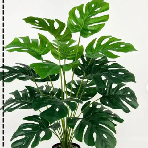 Back Of Turtle Artificial Plant Frugal Finds Galore