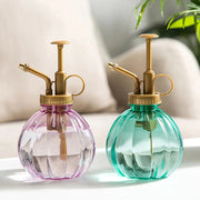 Plant Flower Watering Spray Bottle for Succulents Frugal Finds Galore