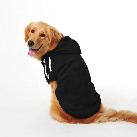 Pet Clothing Collection Frugal Finds Galore