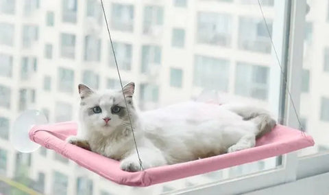 Pet Window Hammock Frugal Finds Galore