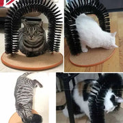 Cat Toy Arch: Self-Grooming and Scratching Pad Frugal Finds Galore