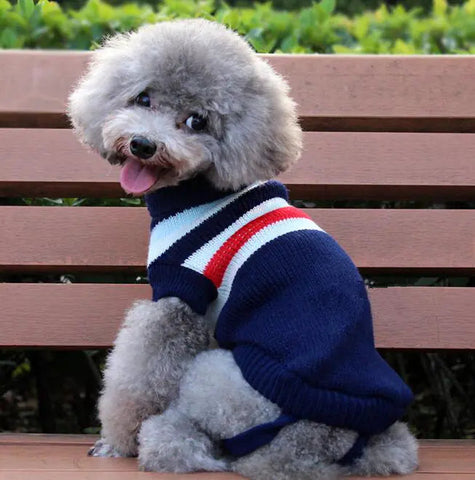 Dog Sweater, Pet Clothing, Knitted Pet Outfit Frugal Finds Galore
