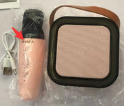 Bluetooth Speaker Microphone Integrated Frugal Finds Galore