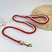 Woven Eight-Strand Dog Leash with Hand Grip Frugal Finds Galore