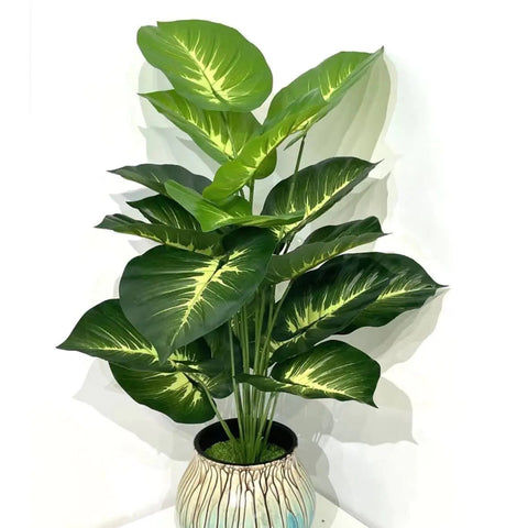 Back Of Turtle Artificial Plant Frugal Finds Galore