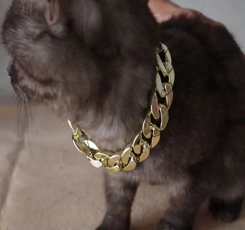 Pet Necklace Chain, Pet Accessories, Gold Chain for Pets Frugal Finds Galore