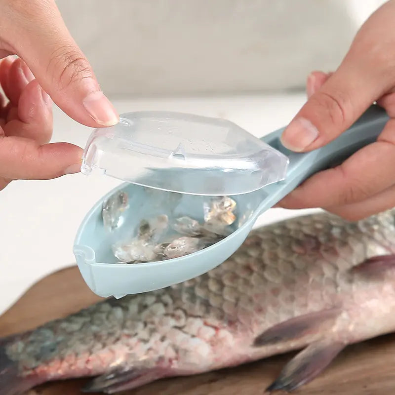 Portable Plastic Fish Scale Scraper