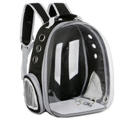 Pet Bag Frugal Finds Galore
