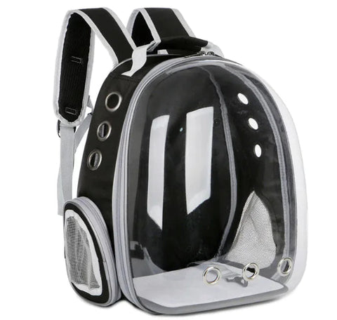 Pet Bag Frugal Finds Galore