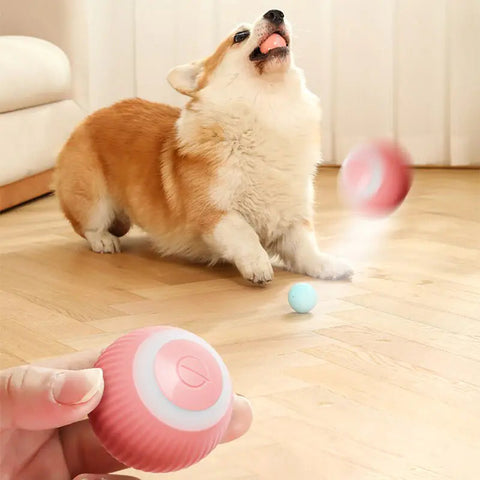 Electric Dog Toys Frugal Finds Galore
