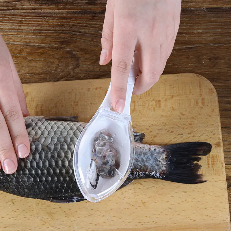 Plastic Fish Scale Scraper