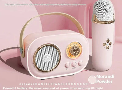 Portable Bluetooth Audio With Wireless Microphone Frugal Finds Galore