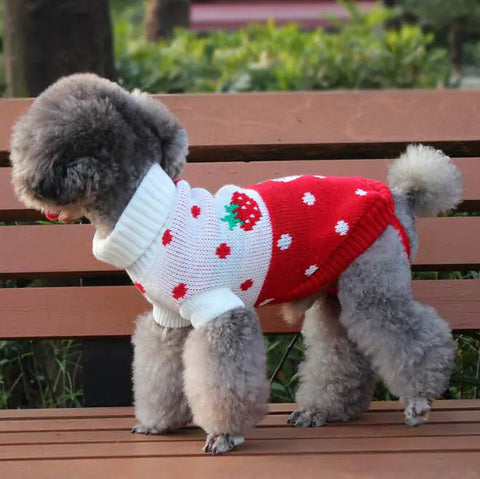 Dog Sweater, Pet Clothing, Knitted Pet Outfit Frugal Finds Galore